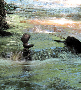 Emilie Jonas Falls Nature Preserve photo