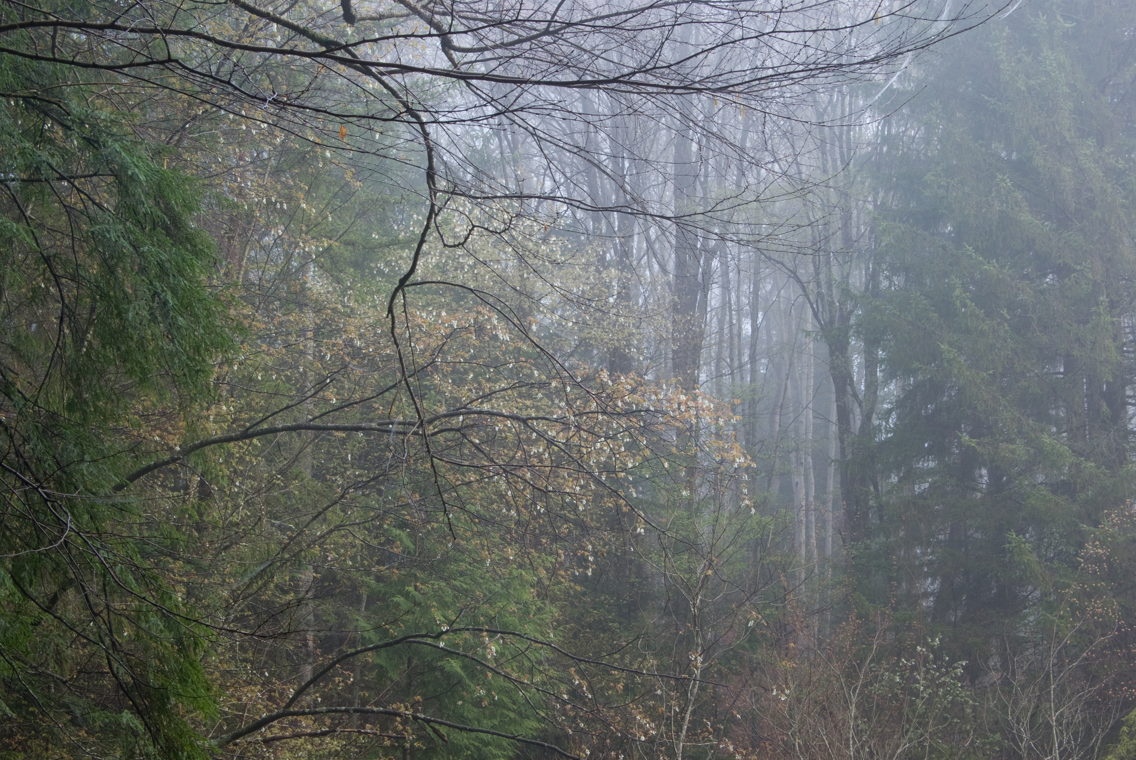 Ithaca Trails O D Von Engeln Preserve At Malloryville