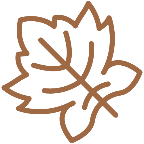 Leaf Brown