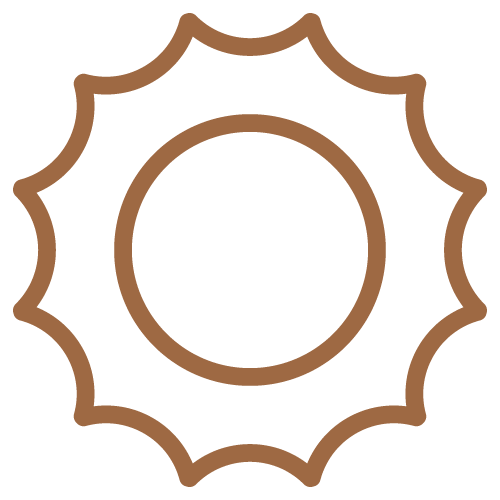 Sun Brown