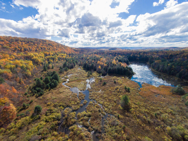 Aerial view of autumn forest with colorful trees, a winding stream, and large pond beneath partly cloudy sky.
