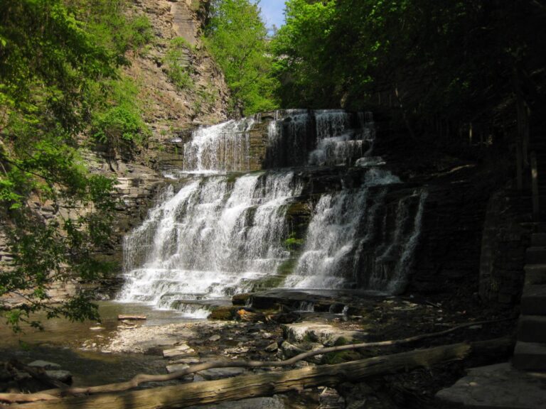 Tiered waterfall flows over dark rocks, surrounded by dense green trees and sunlight, with fallen logs by the water’s edge.