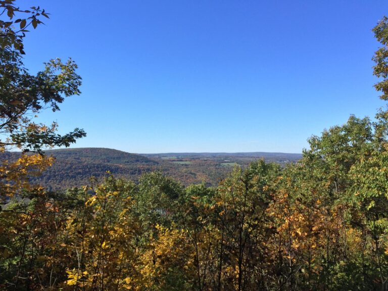Rolling hills with autumn trees under a clear blue sky, framed by leafy trees on both sides.