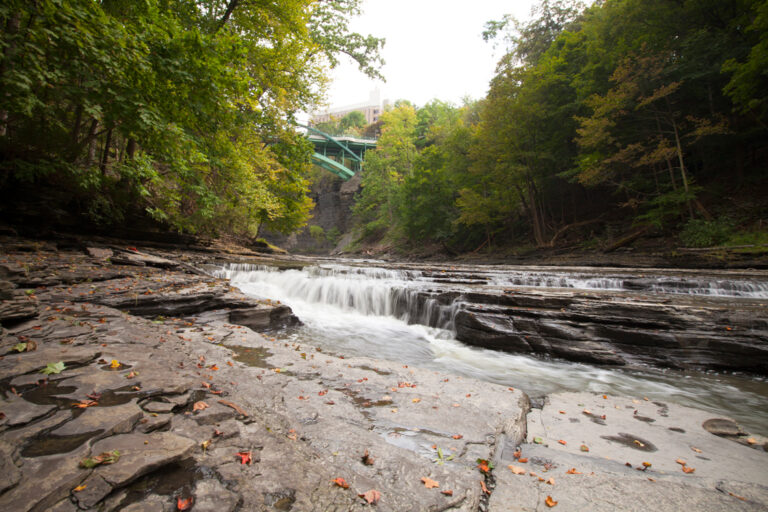 Small waterfall flows over layered rocks in a forested gorge; green trees surround the area. A metal bridge and building are visible above the waterfall. Autumn leaves are scattered on the rocks.
