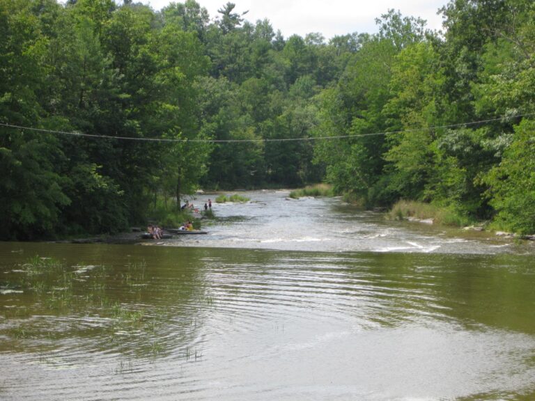 People sit and wade at the edge of a shallow river lined with trees and dense green foliage on a sunny day; a wire crosses overhead.
