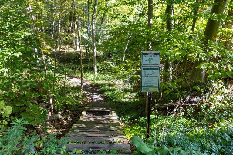 Wooden footbridge leads to a dirt trail in a green forest; sign with trail rules by bridge. Sunlight filters through the trees.