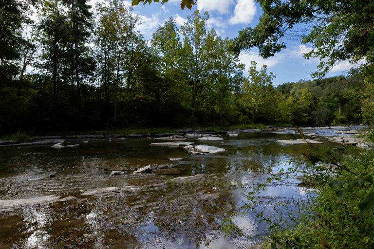 A shallow river with flat rocks and gentle ripples flows through a forest with green trees under a partly cloudy sky.