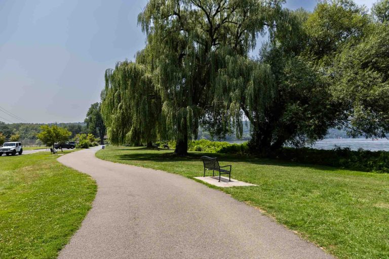 Curved paved path in grassy park with large trees, bench on pad, parked cars along edge, and clear sky. Peaceful setting.