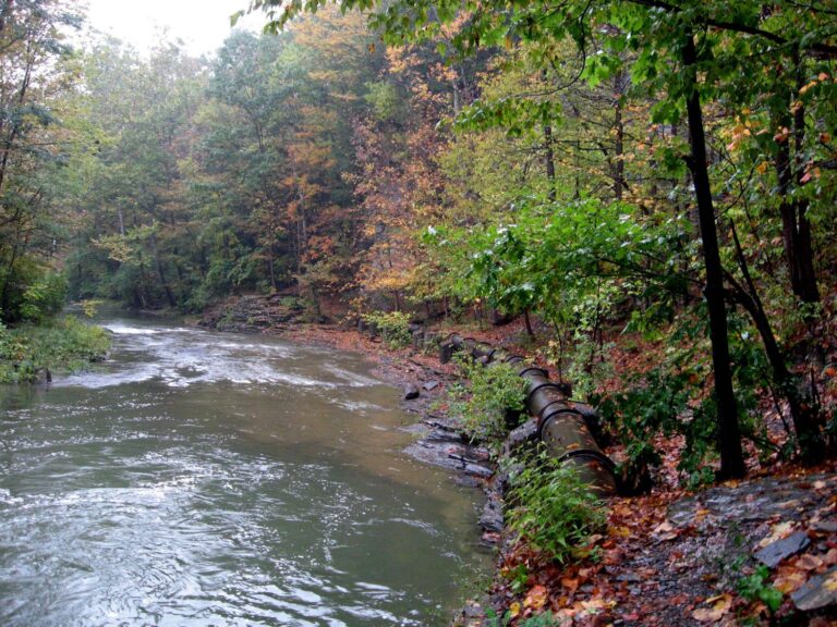 A calm creek in a forest with green and autumn-colored trees; a rusty metal pipe lies on the muddy bank, partly covered by leaves and moss.