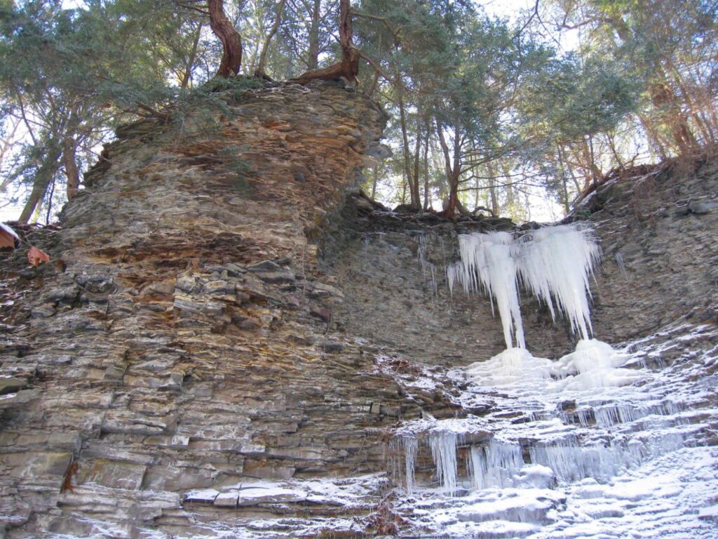 Icicles and frozen water hang from a rocky cliff with snow and evergreen trees above.