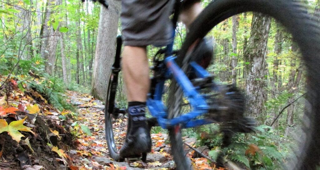 Close-up of a mountain biker’s legs and rear wheel riding on a narrow, leaf-covered forest path, surrounded by trees with autumn leaves.