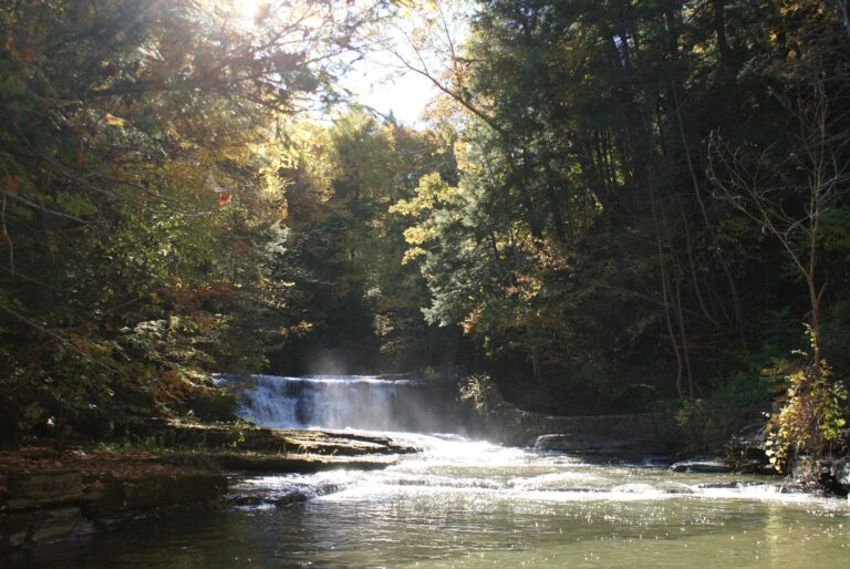 Small waterfall flows over rocks in a sunlit forest, with mist rising and early autumn leaves on trees.