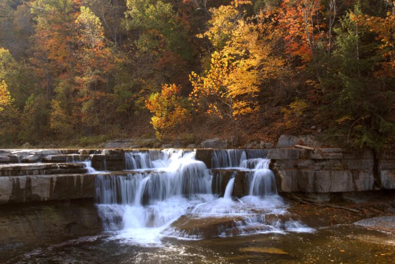 Small waterfall flowing over rocks, surrounded by autumn trees with orange, yellow, and green leaves in sunlight.