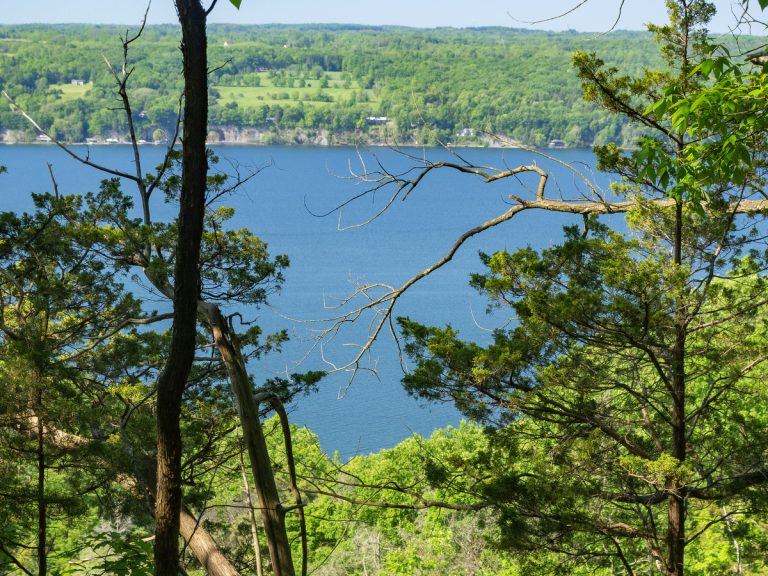 Blue lake with green trees in front, forested shoreline, hills in the background, and a clear sky above.